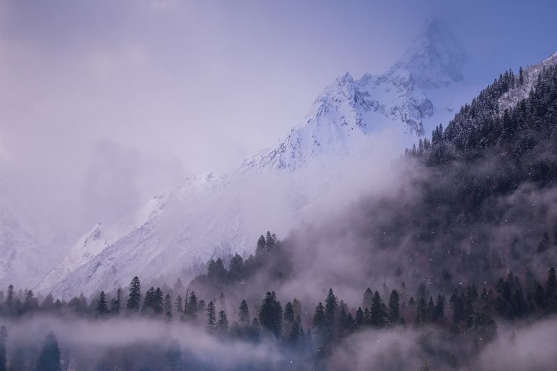 Туманный Домбай фото превью