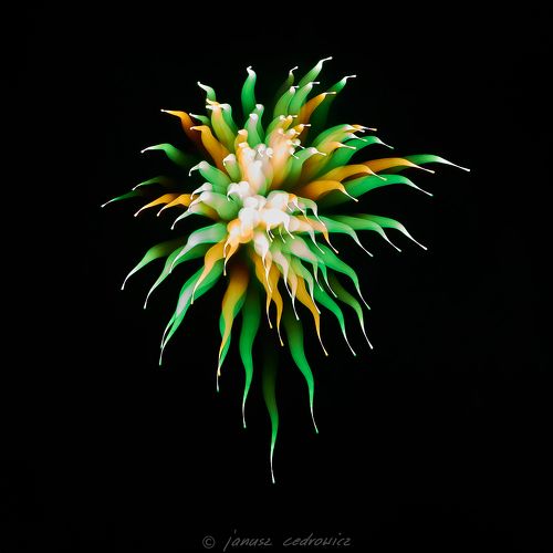 fireworxx