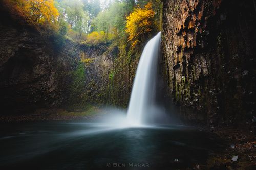 The Everlasting Beauty