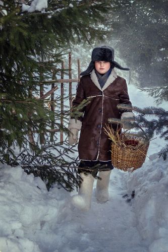 Зимняя прогулка