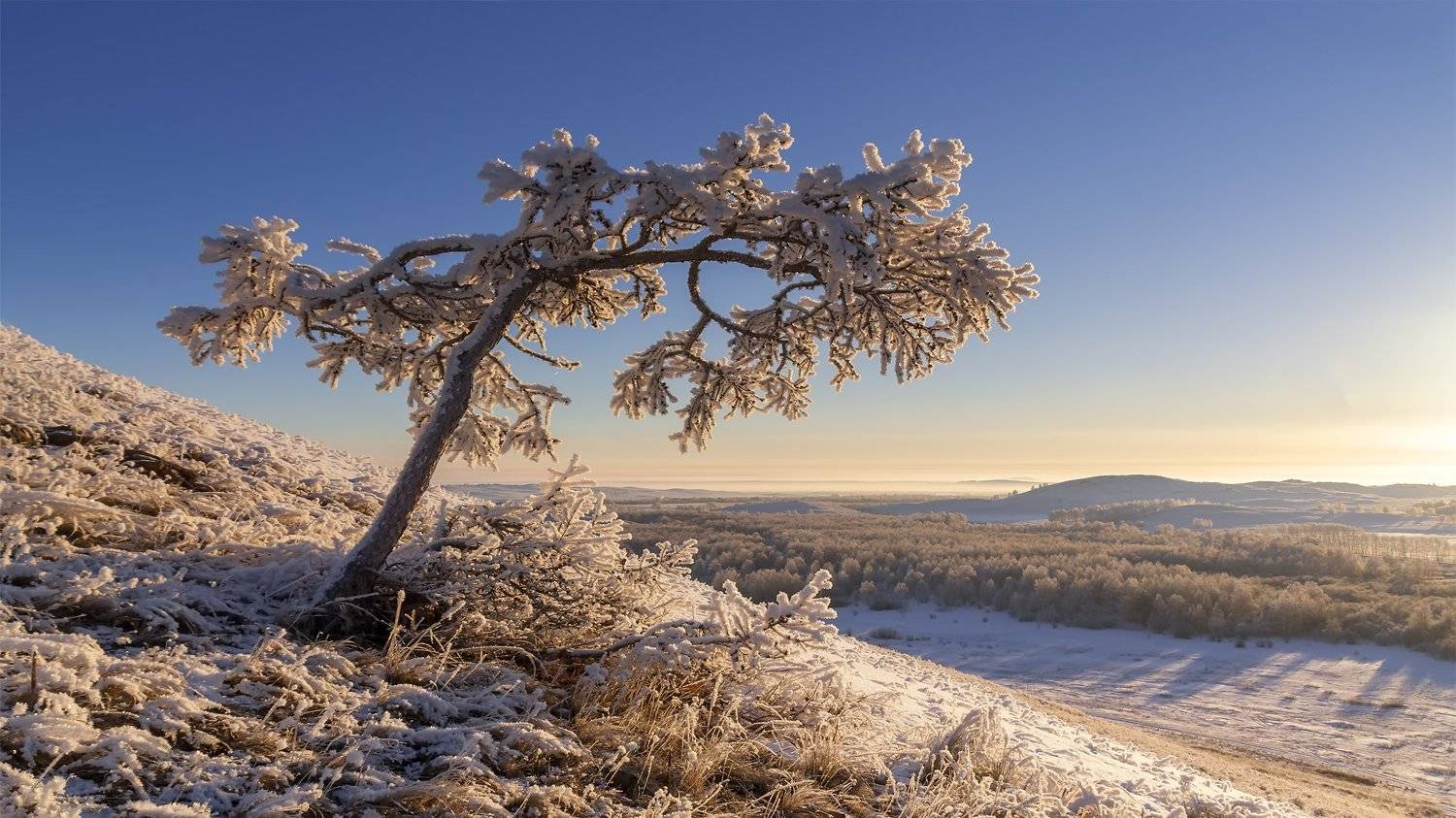 , Леонид Максименко