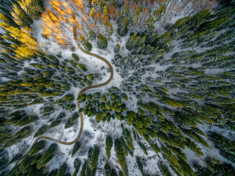 дорога  фото превью