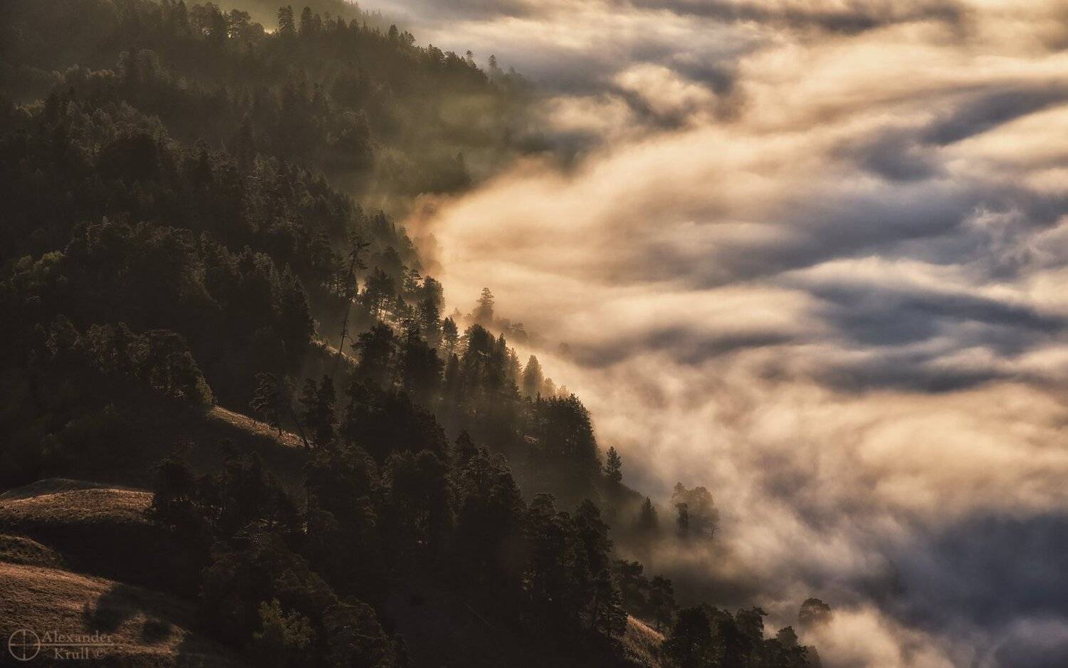 , Александр Круль