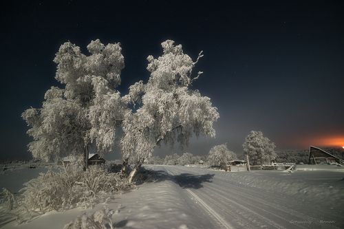 Морозные ночи декабря.