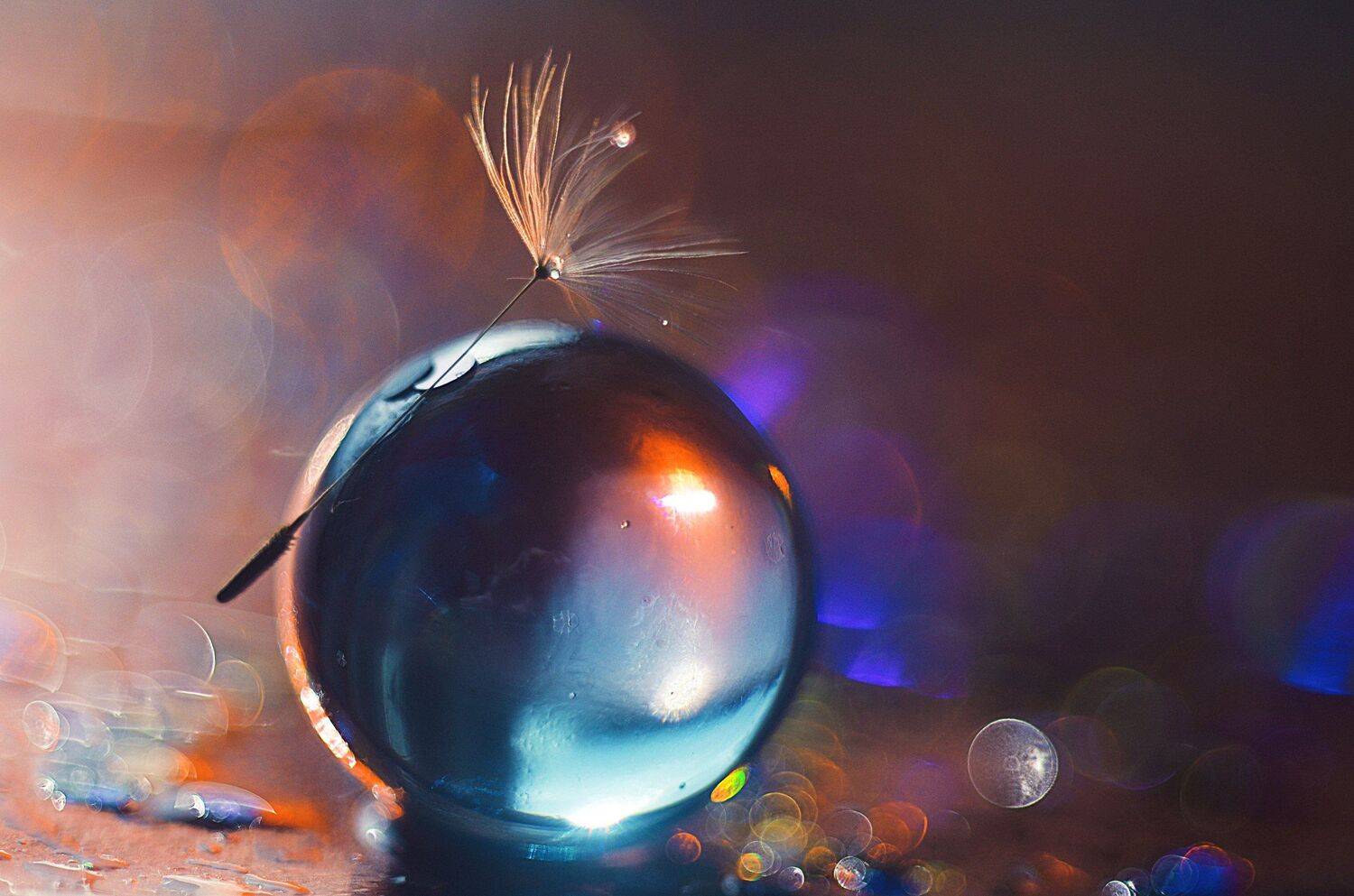 макро, фотография, цвет, красиво, гелиос, Лапшина Владлена