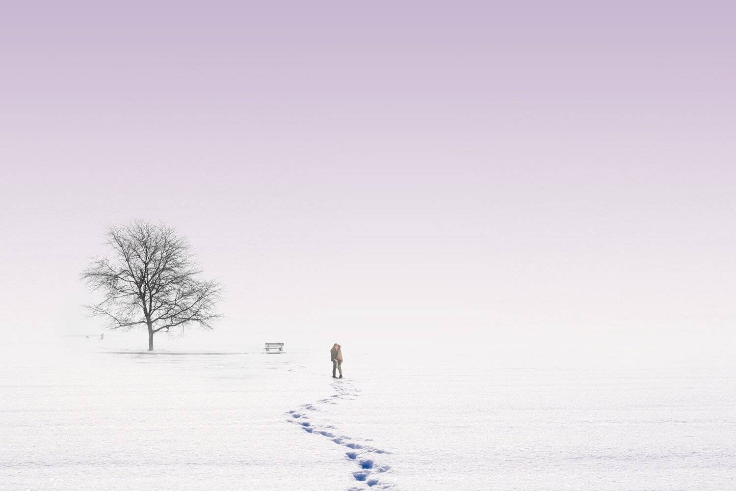 бескрайняя любовь молодожены свадьба свадебное прогулка зима снег дерево природа пейзаж холод любовь помолейко pomoleyko wedding lovely, Павел Помолейко