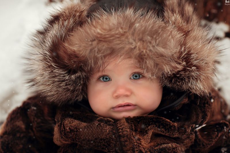 Стёпи :-)  фото превью