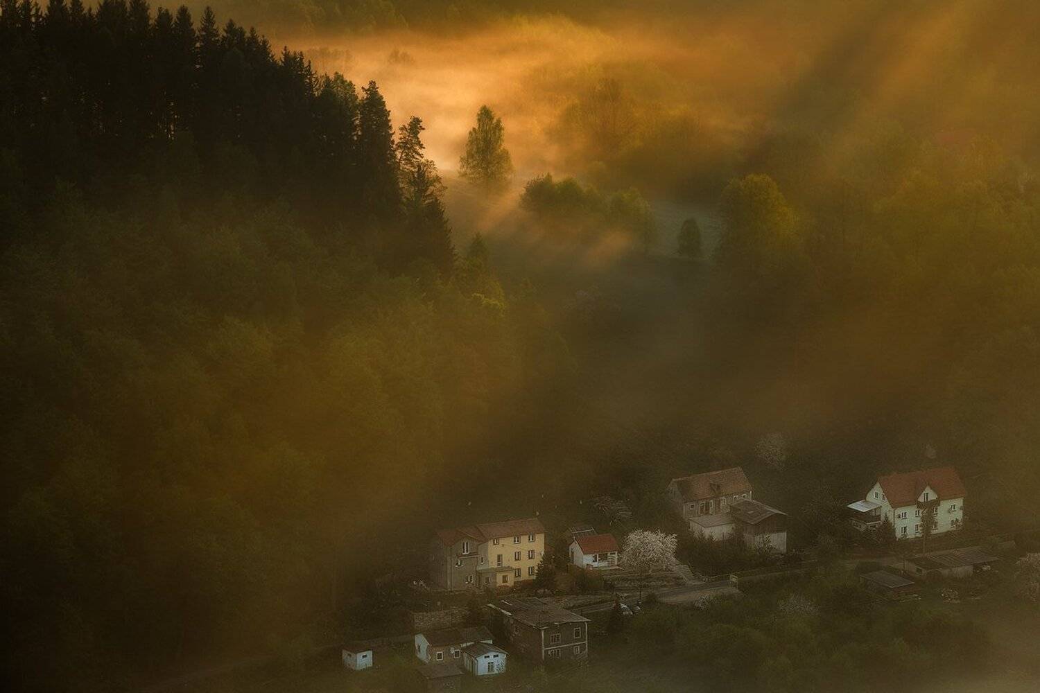 landscape,canon,light,spring, Iza,Darek