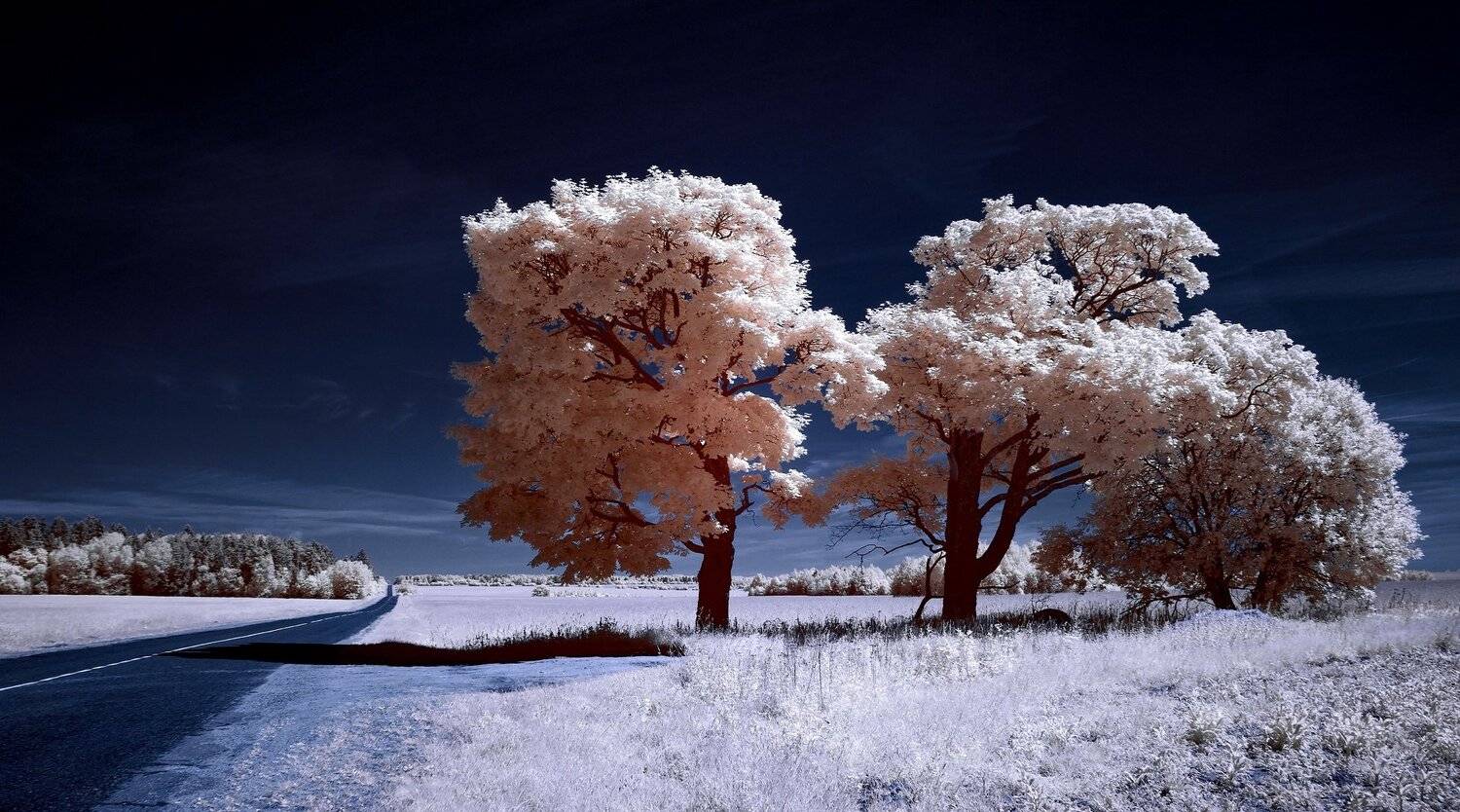 infrared,ик-фото,инфракрасное фото,инфракрасная фотография,пейзаж,природа,беларусь,лето, Sixten ( Сергей )