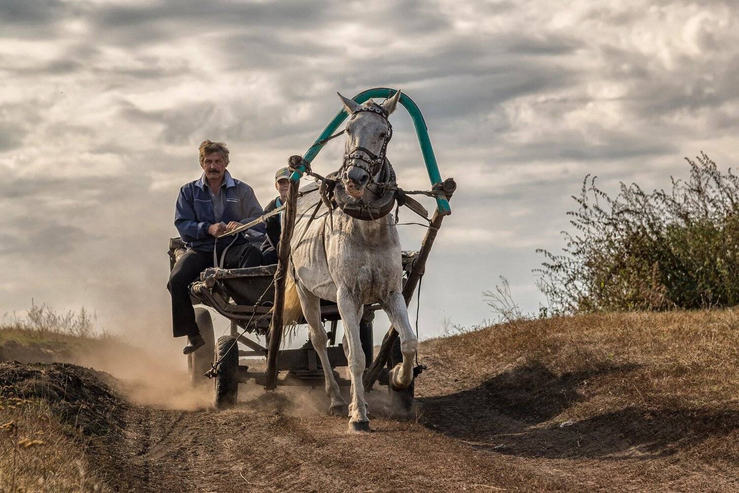 , Андрей Поляков