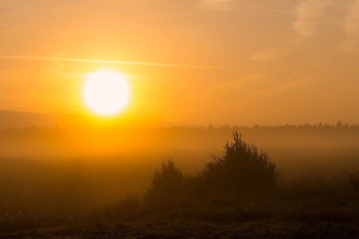 пейзаж,природа,утро,рассвет,осень,россия,река,сентябрь,туман,природный парк, Юлия Лаптева