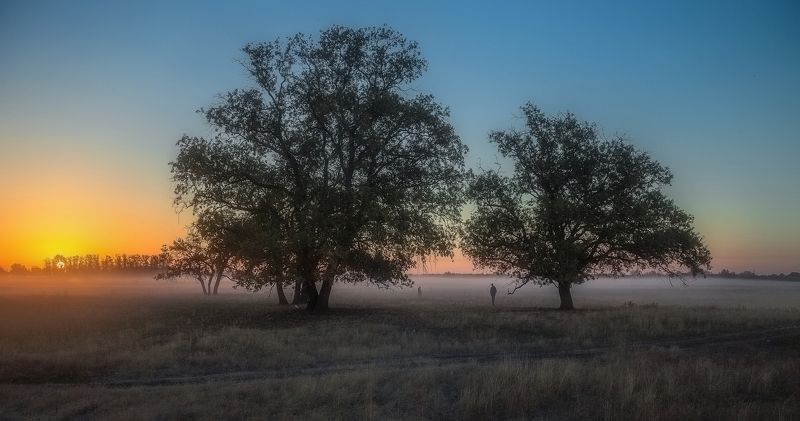 На заре фото превью