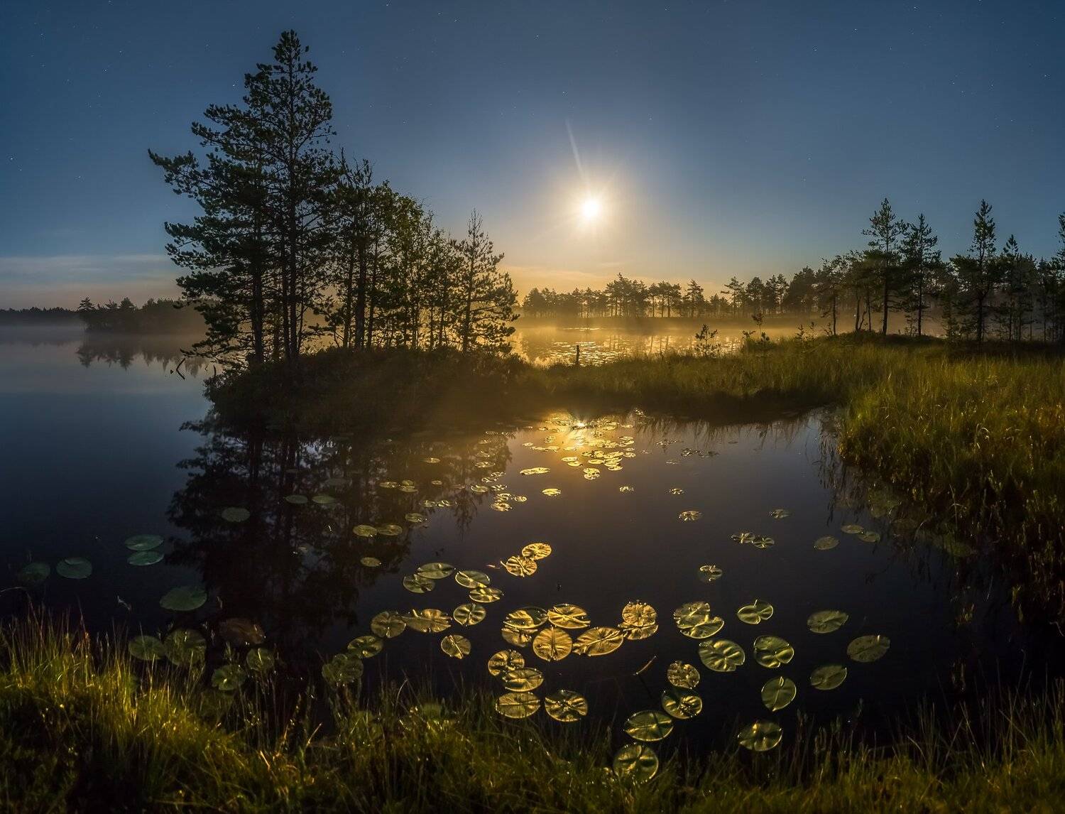 фототур, лето, ленинградская область, деревья, сосна, остров, полнолунье, луна, ночь, туман, отражение, озеро, кувшинки., Лашков Фёдор