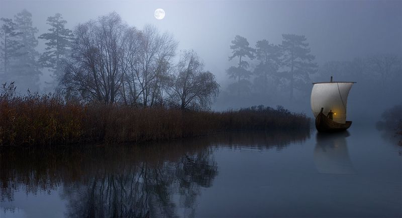 В поисках аленького цветочка фото превью