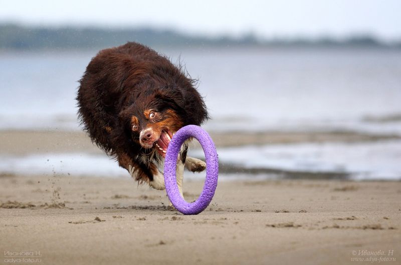 *** фото превью