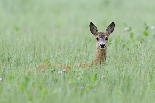 После дождя