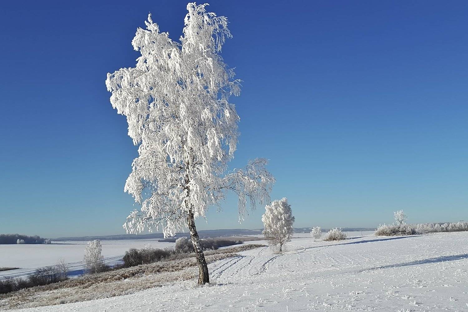 , Сергей Евдокимов