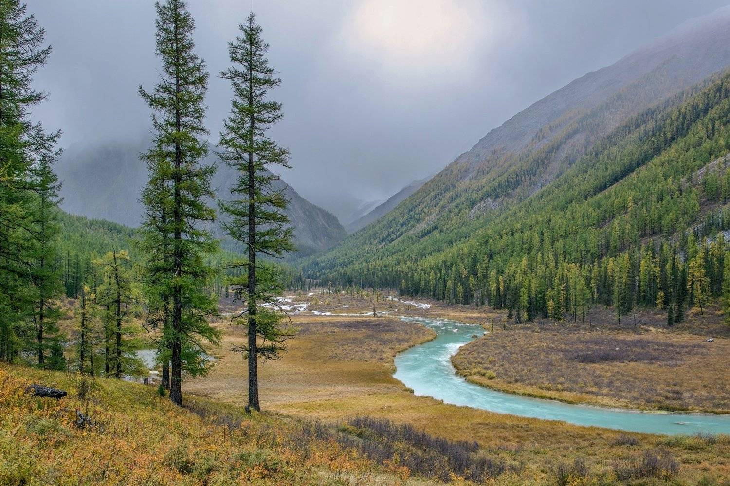 алтай,осень, Алексей Кретов
