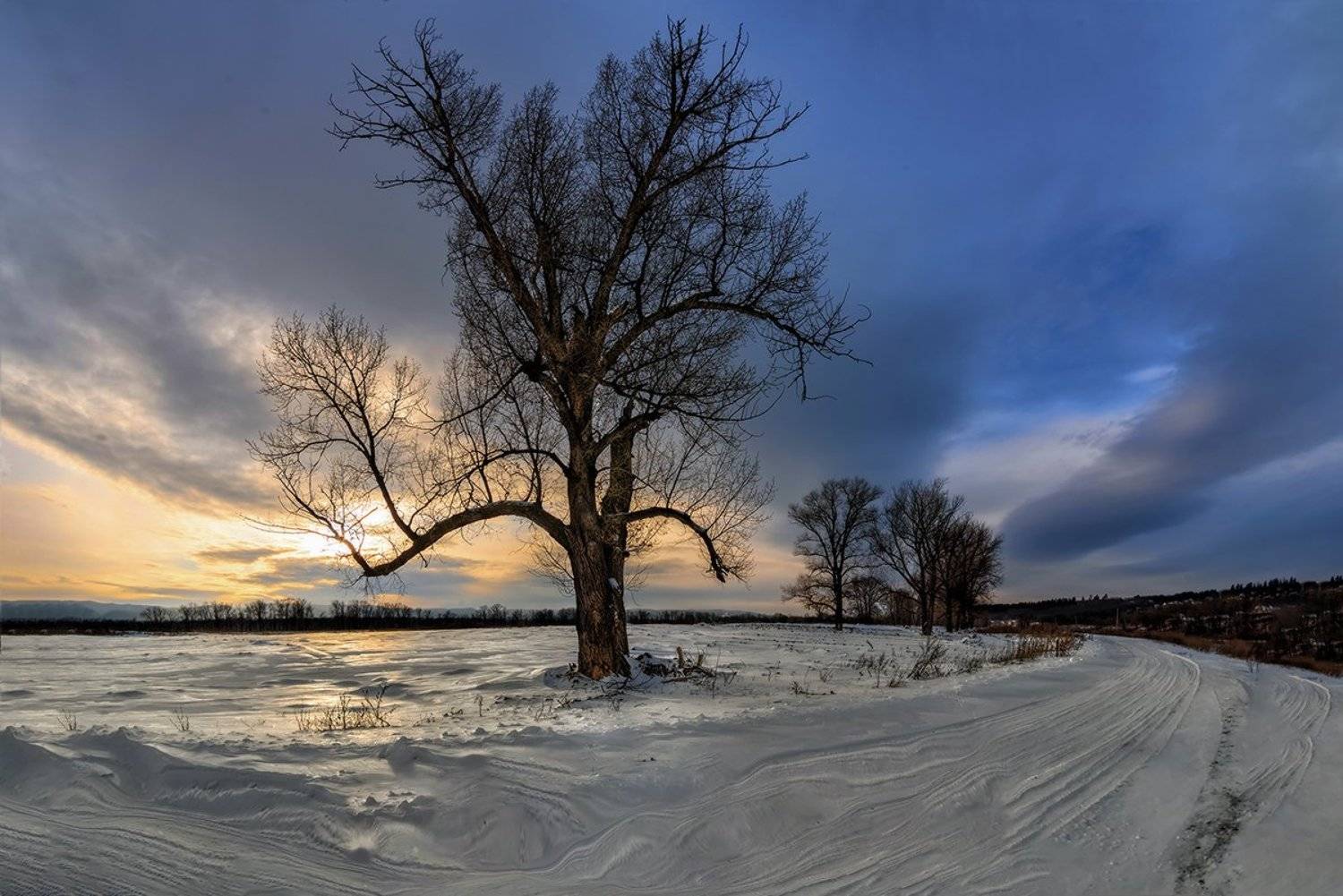 , Влад Шерман