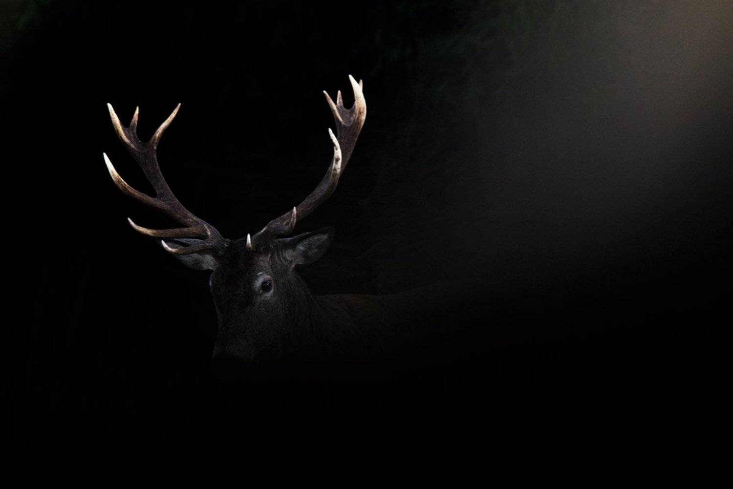 , Евгений Мельников