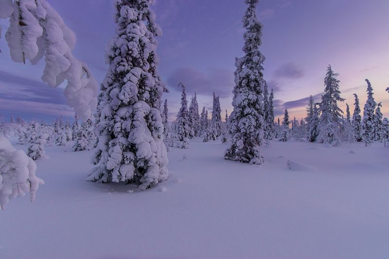 ямал , зима , природа, салехард , декабрь,  январь ,север \