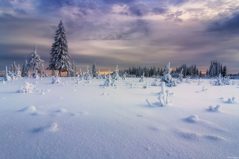 Малоснежная зима фото превью