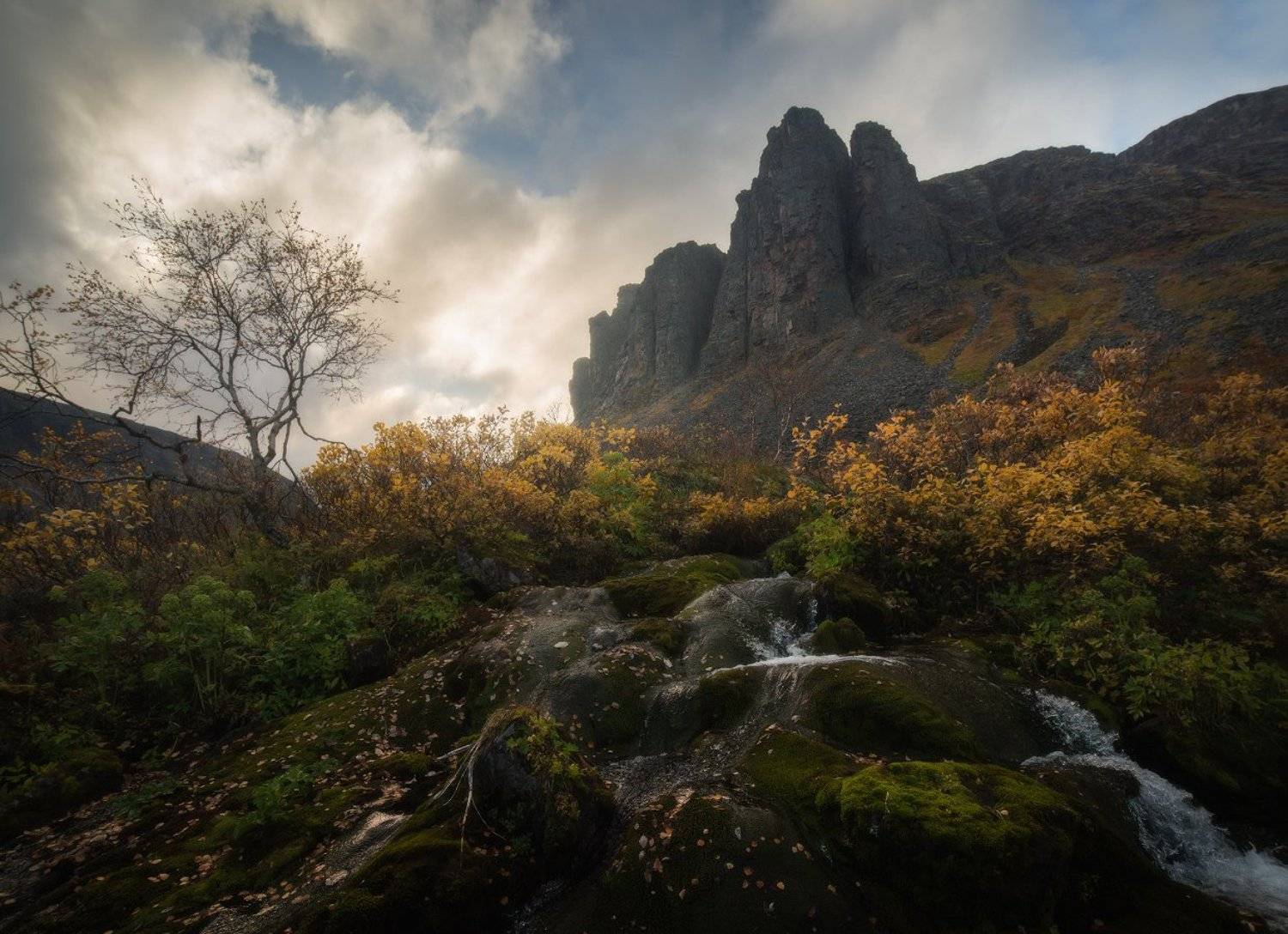 осень, кольский полуостров, горы, ловозёры, тундра, ущелье, чивруай, Николай Степаненко