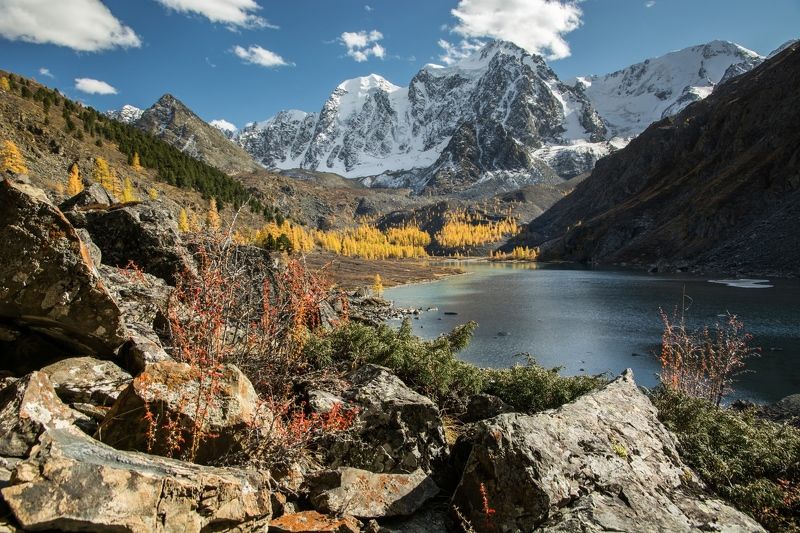 алтай,осень осенний карнавал фото превью