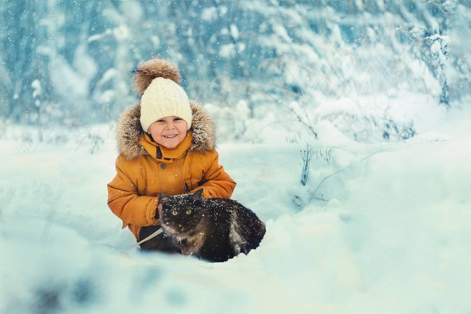 снег,кот, дети, мальчик, зима, Алена Пайвина