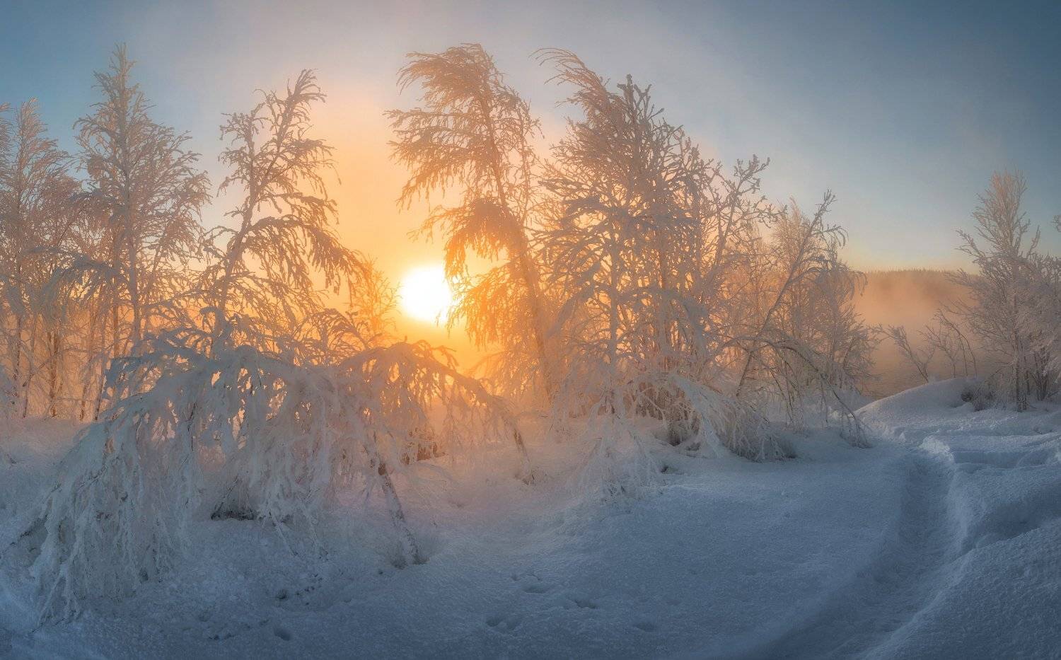 кольский, Андрей Грачев