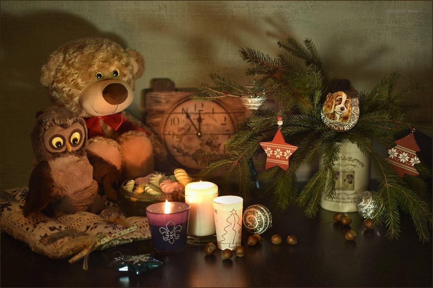 , Шипунова Ирина