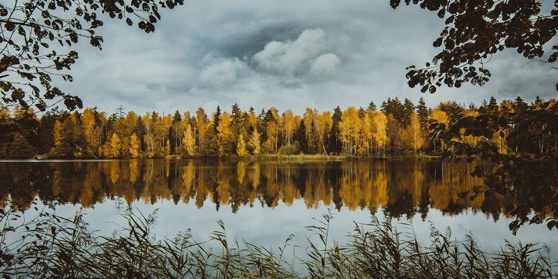 пейзаж, лес, озеро, деревья, природа, Россия, облака Осень в Черноголовке фото превью