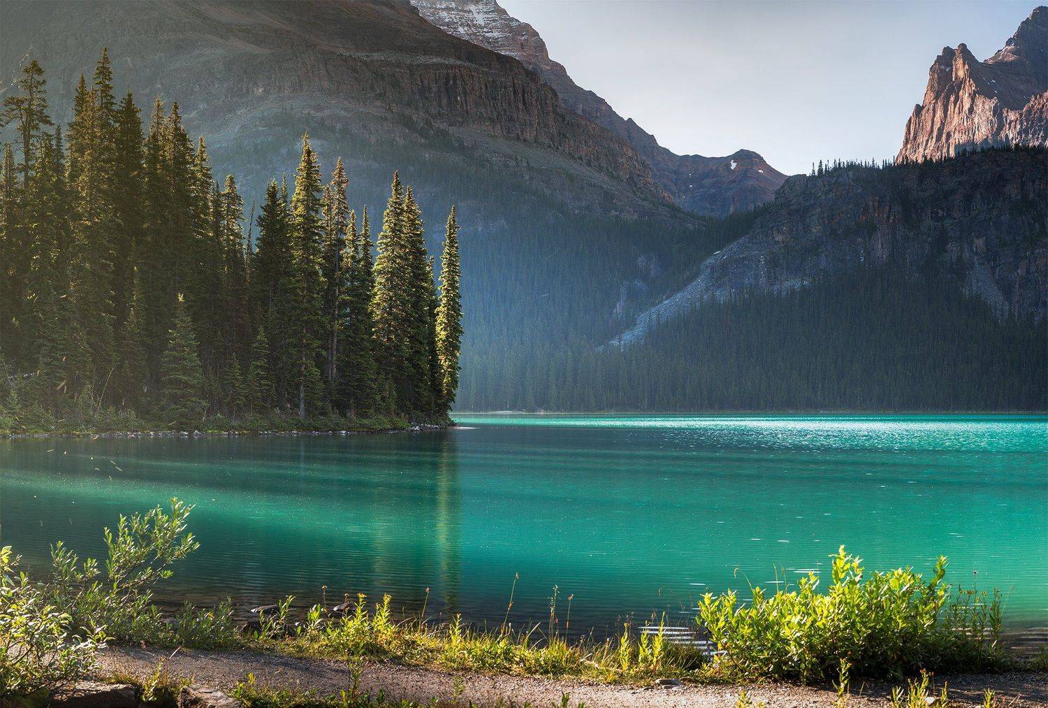 ohara, yoho, Evgeny Chertov