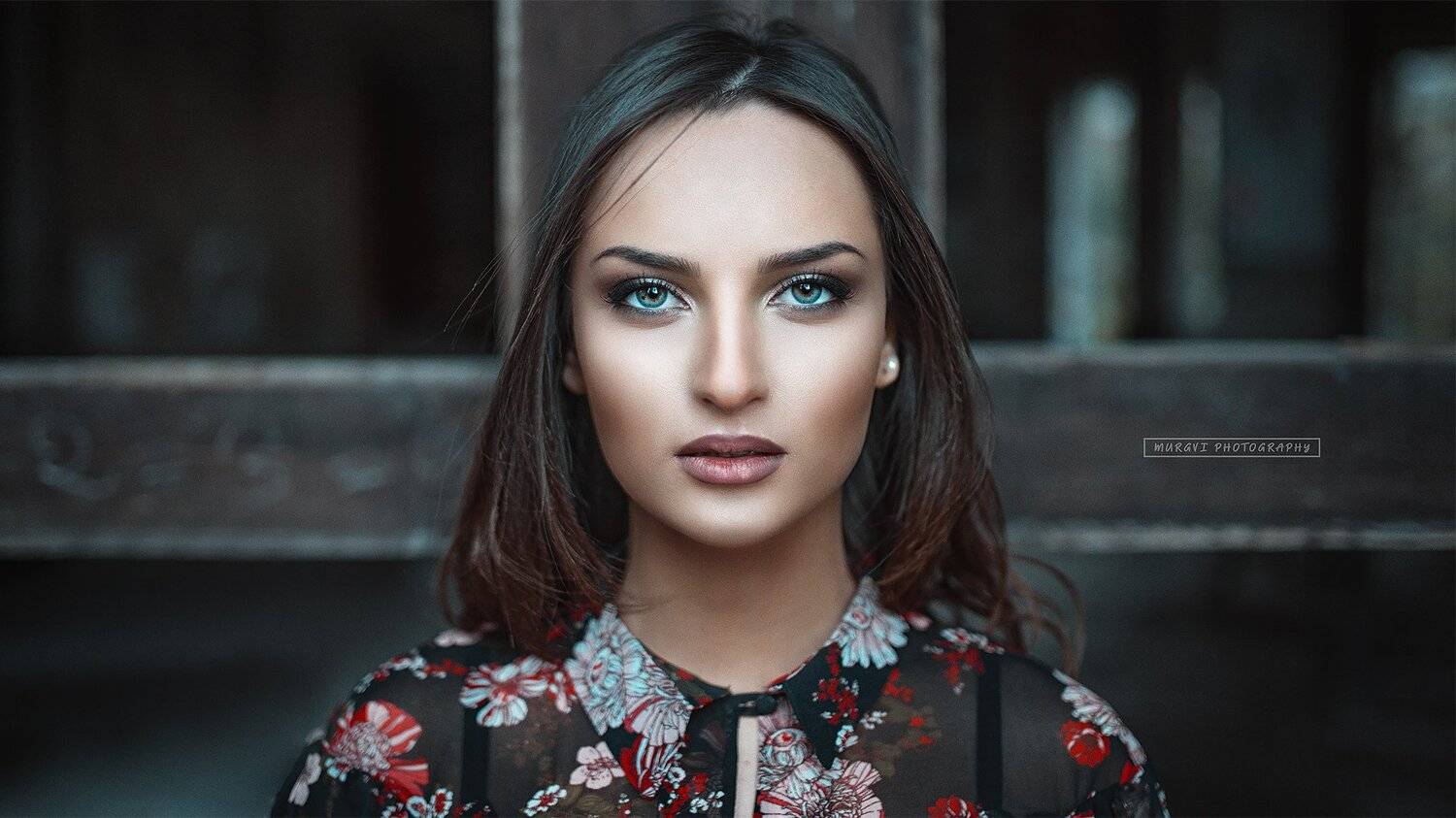 .... Автор: Nikoloz Meskhi , Nikoloz Meskhi