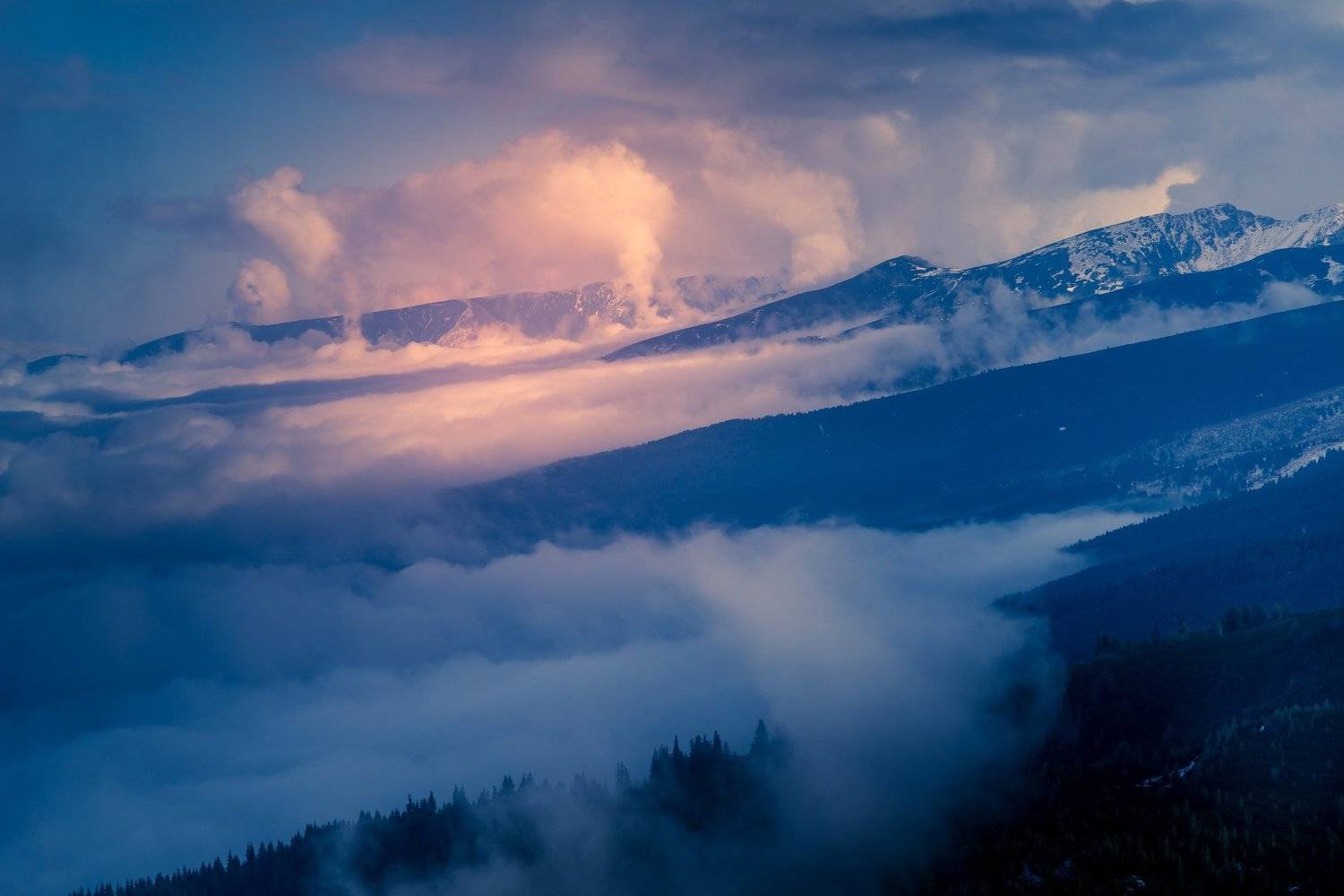 sony a6000, Tihomir Petkov