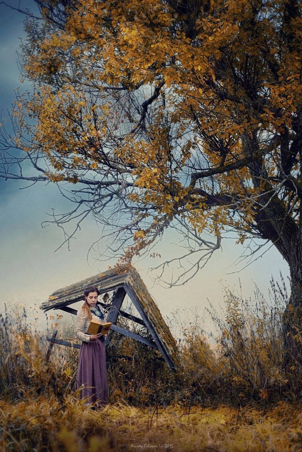 , Аркадий Филиппов