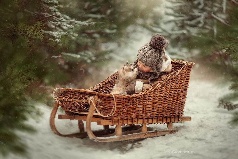 портрет, дарья громова, фотография, фото, фотоарт, фотограф, закат, детский портрет, дети, ребенок, сестры, малыш, девочка, мальчик, детская, фотосессия, фотосъемка, санки, щенок, зима Дай лапу друг фото превью