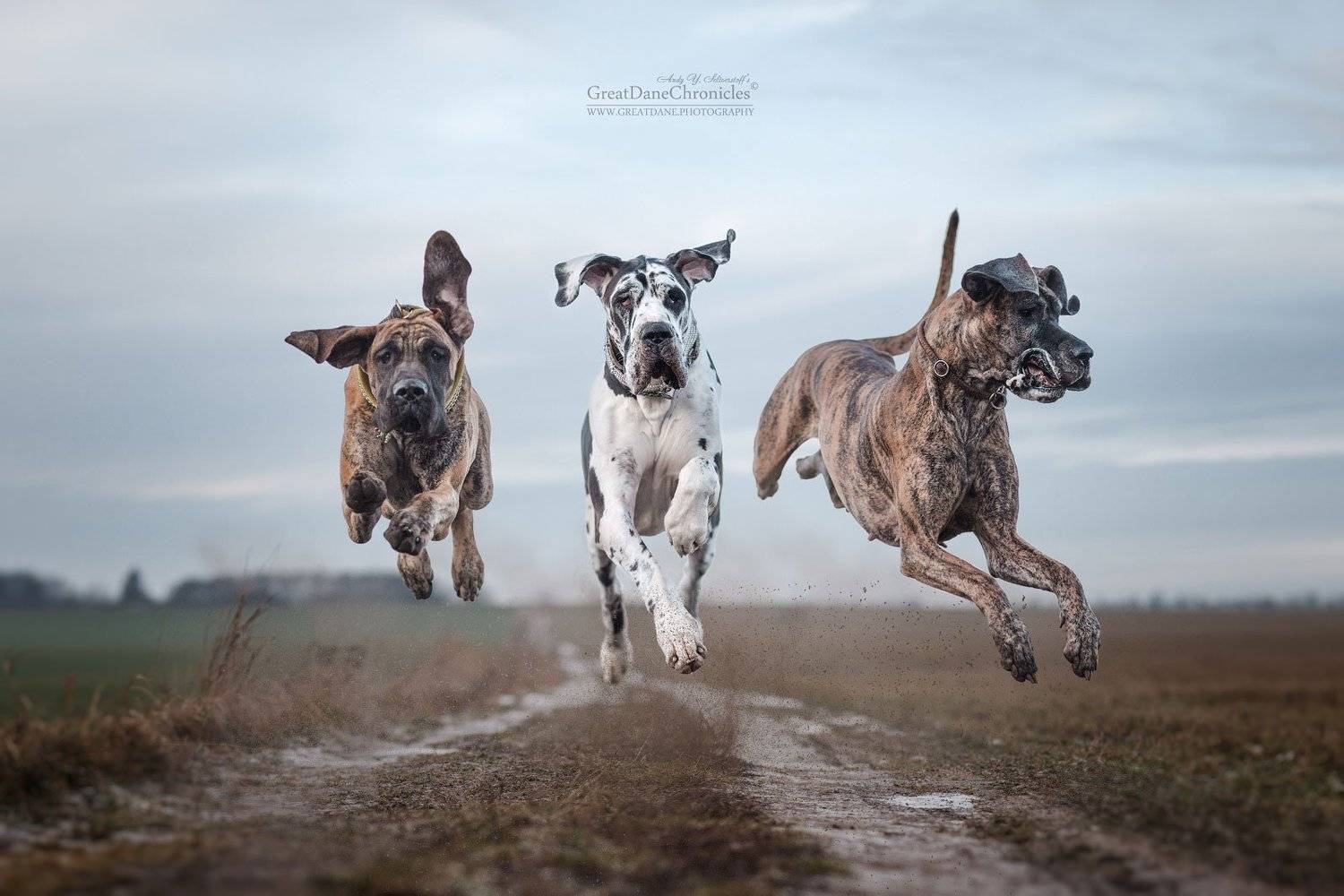 , Андрей Селиверстов