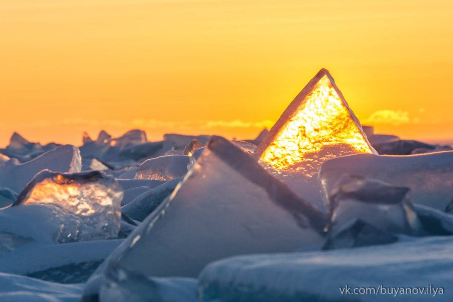 , Илья Буянов