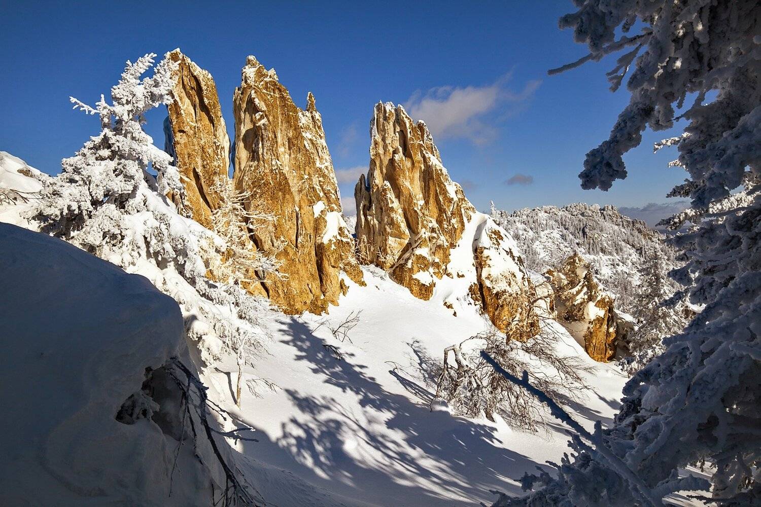 , Сергей Евдокимов