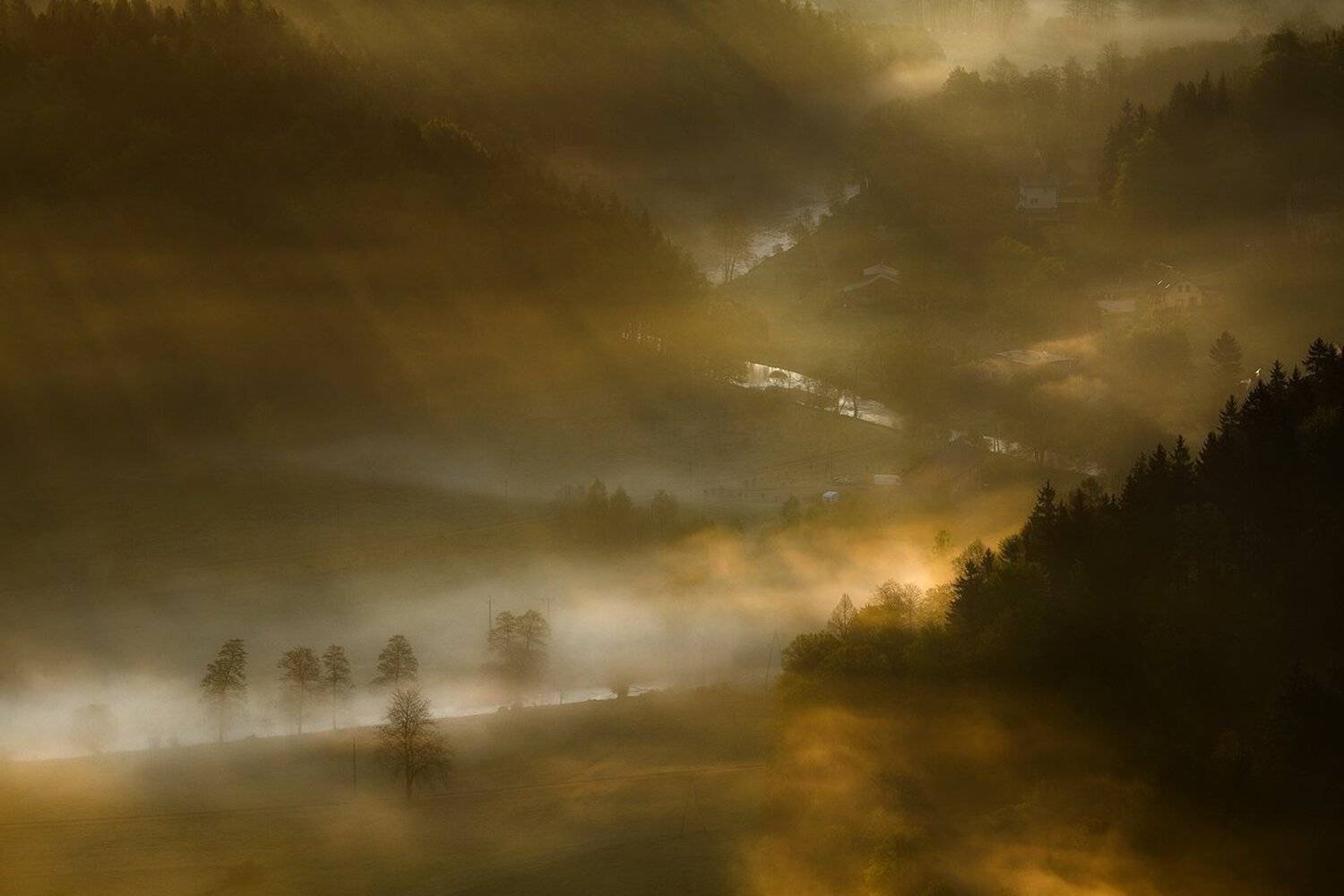 landscape,canon,mist,light,autumn, Iza,Darek