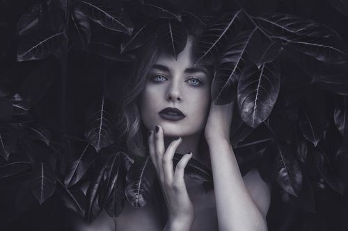 Leaves 4 life