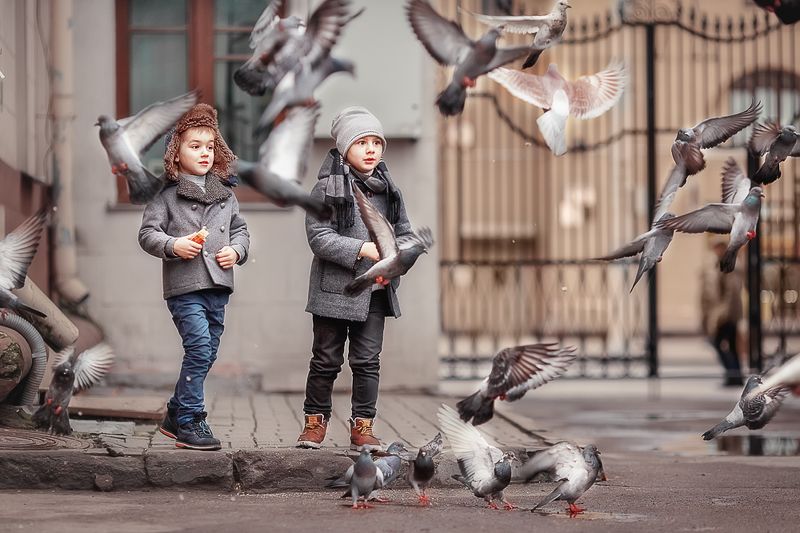 Друзья пернатые фото превью