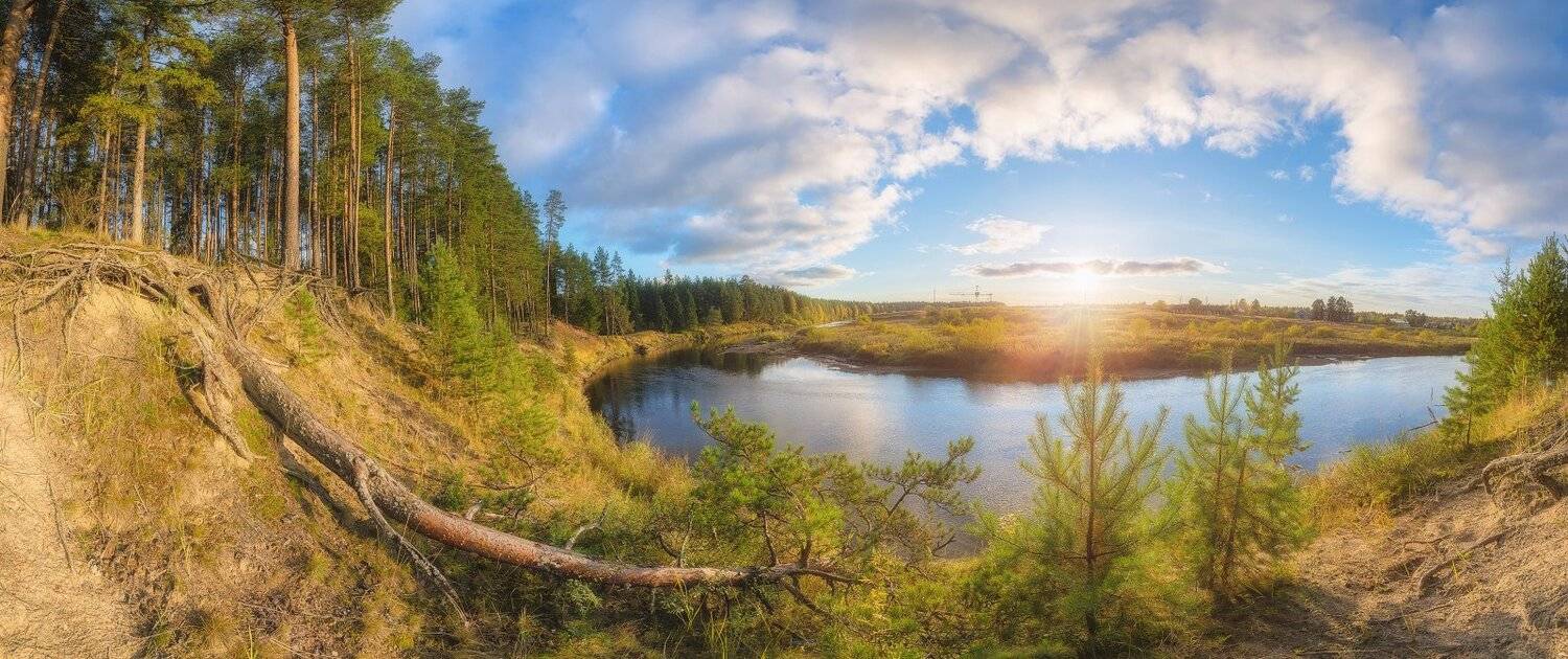 , Устюжанин Михаил