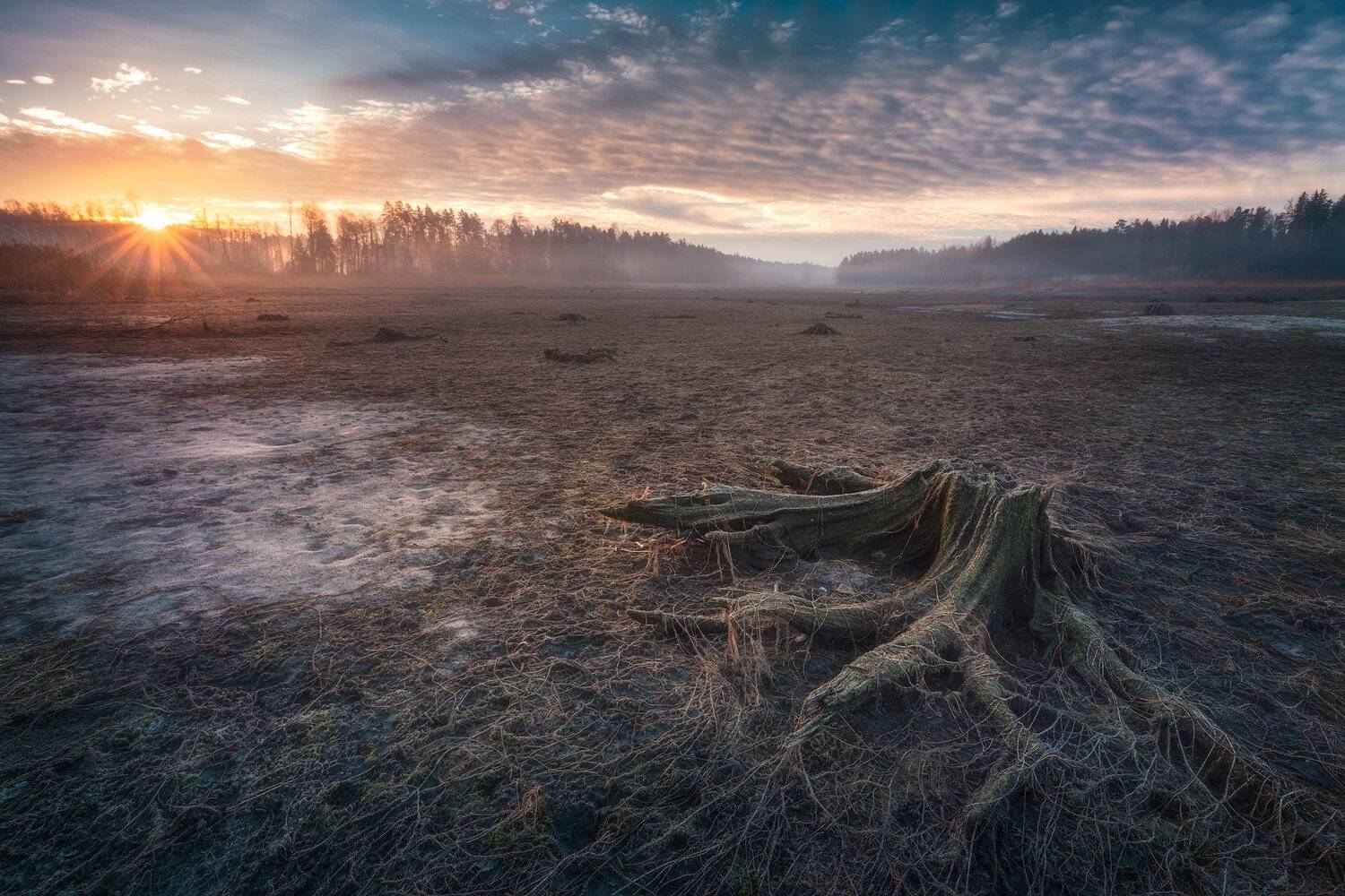 lake poland podlasie dawn sunrise sky clouds water colors mood komosa trunk, Maciej Warchoł