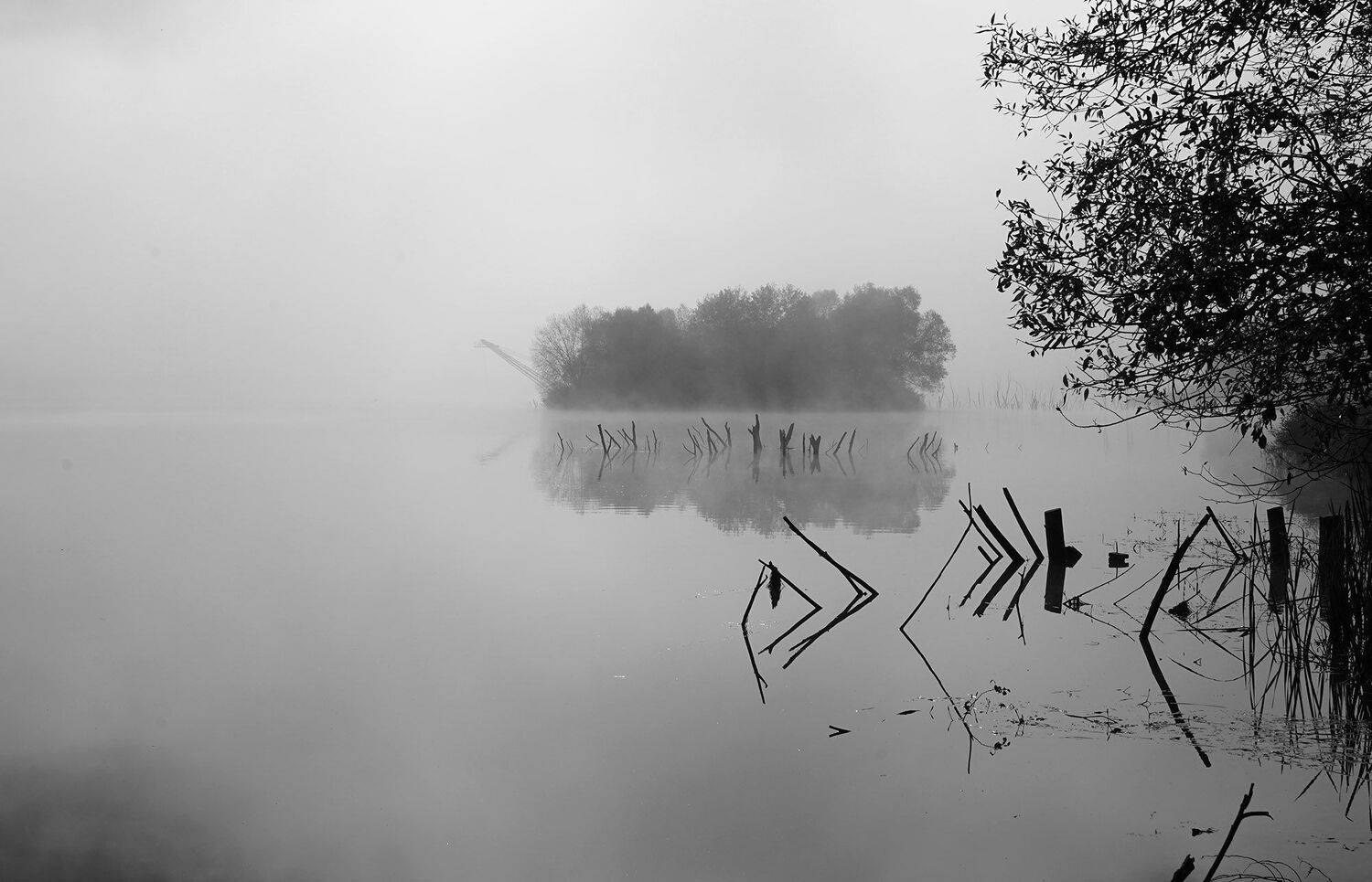 , Красимир Георгиев