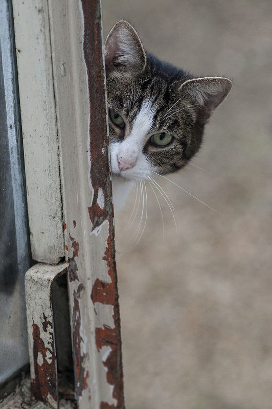 Respective Distance фото превью