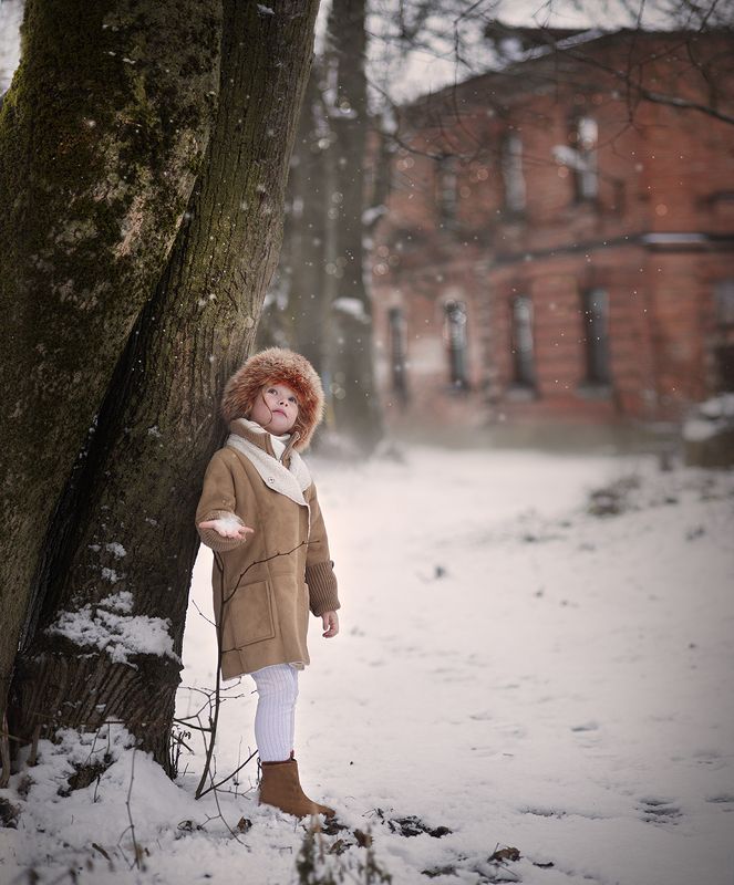 В ожидании зимы фото превью