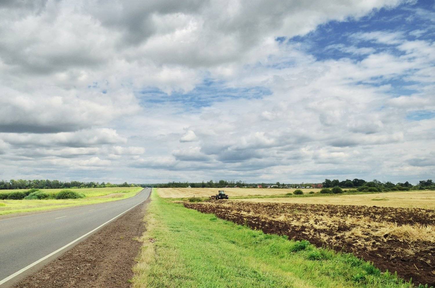 пейзаж, природа, поле, пшеница, небо, лето, август, анна салтыкова, дорога, Anna Saltykowa