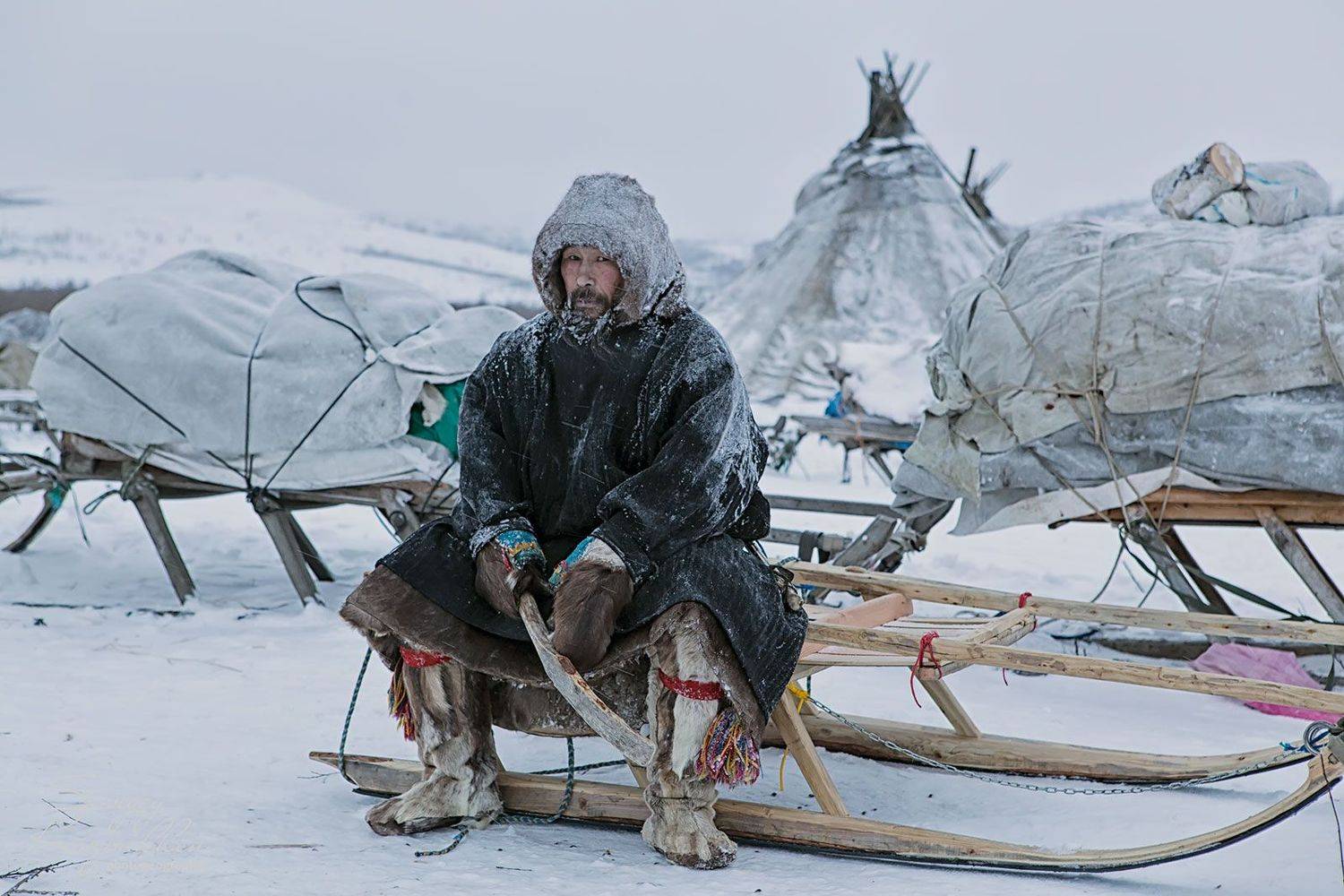 ямал, полярный урал, олени, оленеводы, ненцы, Сергей Карпухин